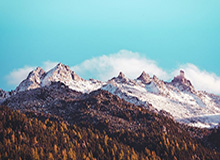 开云：让云端生长的故事